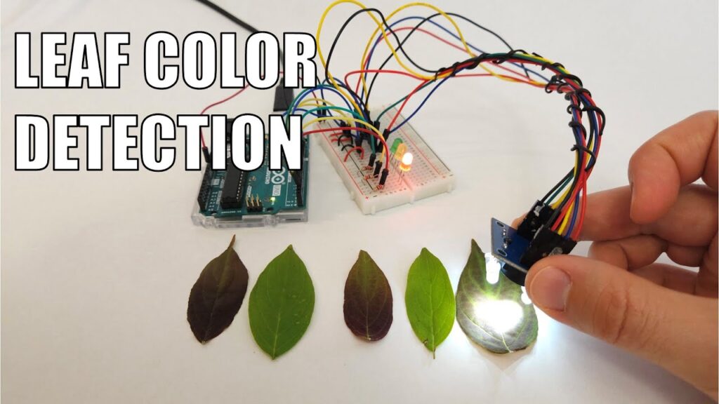 Leaf color detection with Arduino | Science Project